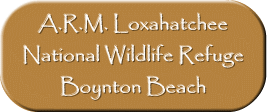 A.R.M. Loxahatchee