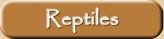 Reptiles