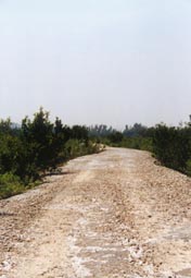 South Trail