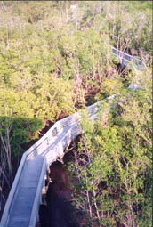 Lake Observation Trail