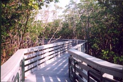 Lake Observation Trail 