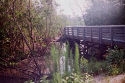 Mud Flat Trail