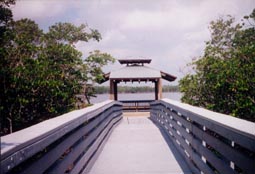 Mud Flat Trail Overlook 