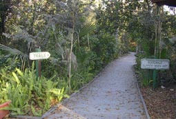 Trail Start