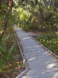 New River Trail Start