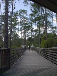 Start of Trail