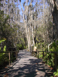 Start of Trail
