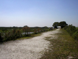 Marsh Trail