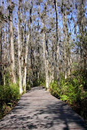 Start of Trail