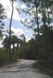 East Burn Trail