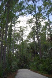 Wildlife Trail